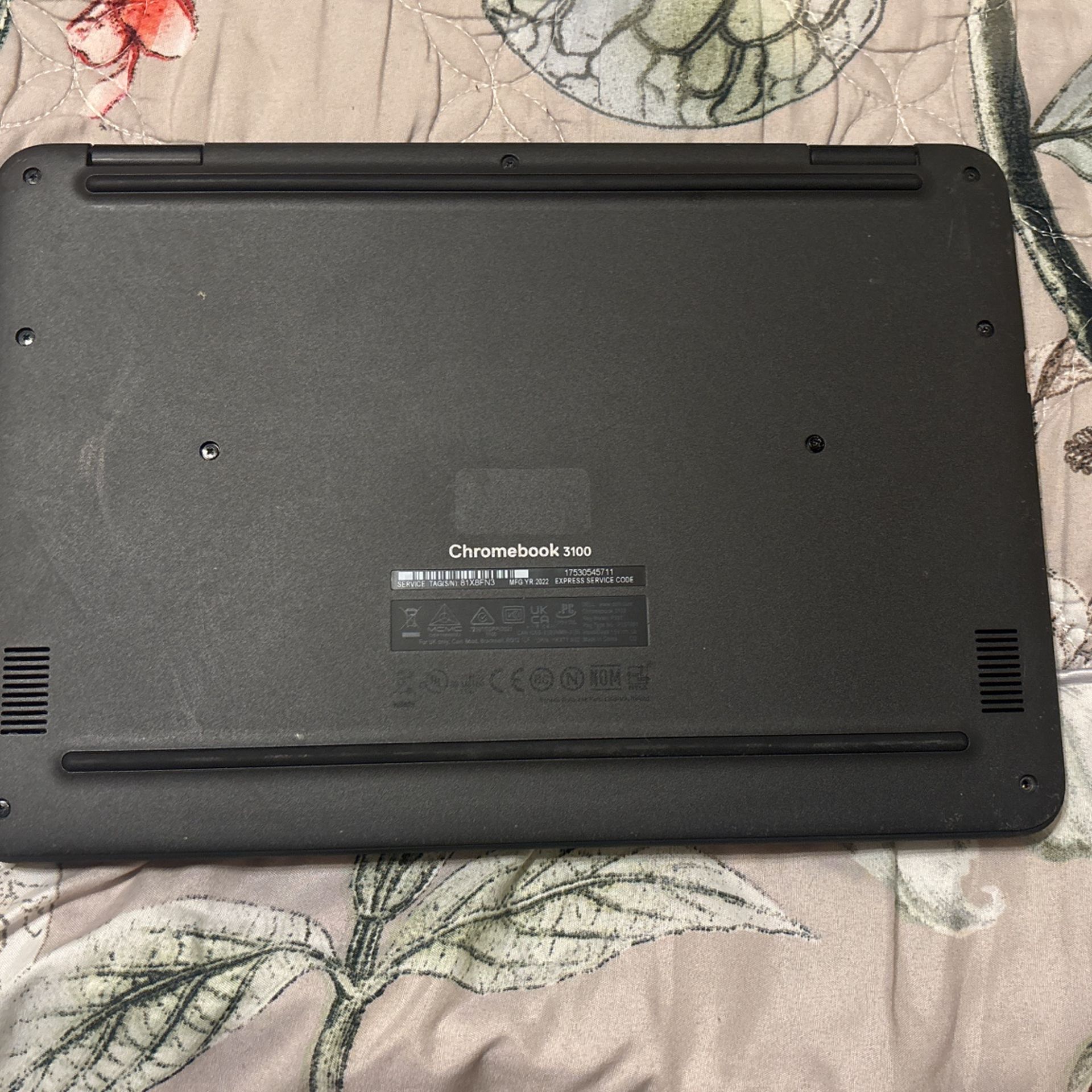 Chromebook 3100