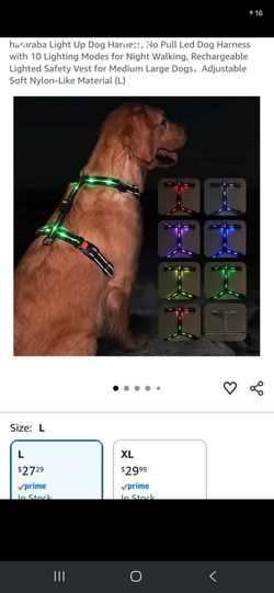 Light Up Dog Harness, No Pull Led Dog Harness with 10 Lighting Modes for Night Walking, Rechargeable Lighted Safety Vest for Medium Large Dogs, Adjust