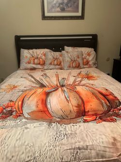 Queen size bed with 4 drawers 2 on each side