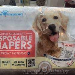 Doggie Diapers 