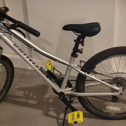 Specialized Mountain Bike 