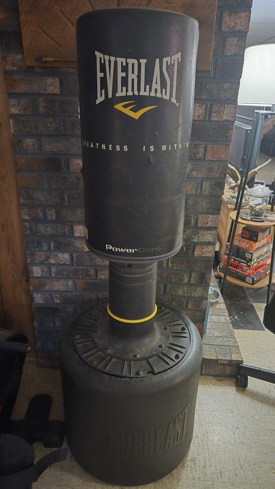 Standing Punching Bag