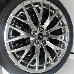 2024 Mustang GT Premium Wheels & Tires