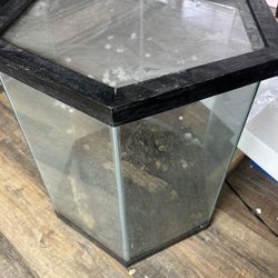 Aquarium And Stand 