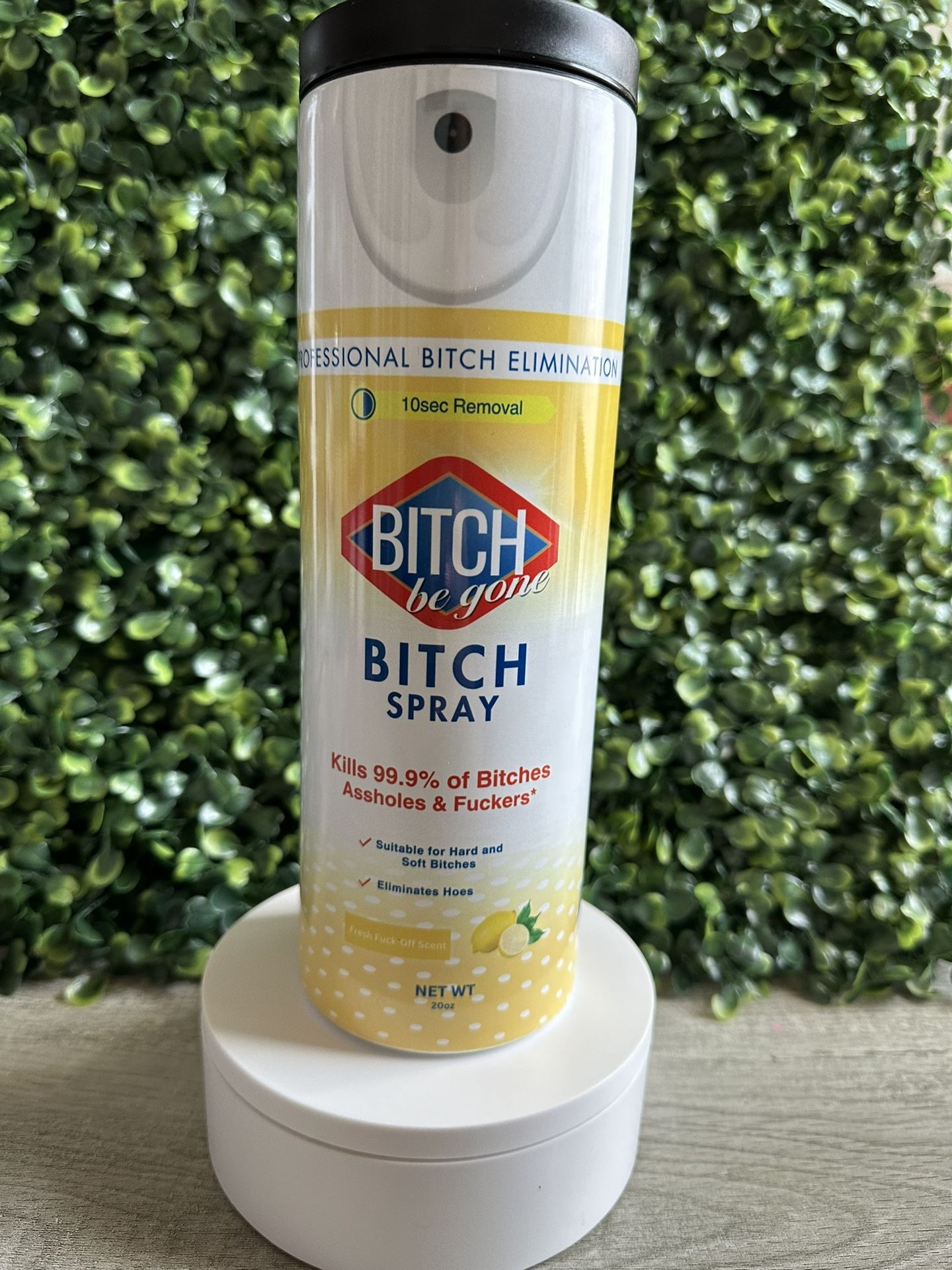 B be Gone Clorox Spray Tumbler