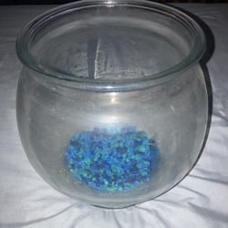 Free 1 Gallon Glass Fish Bowl