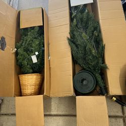 Christmas Trees