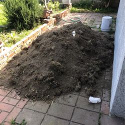 Free  Clean Dirt