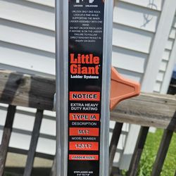 Little giant ladder