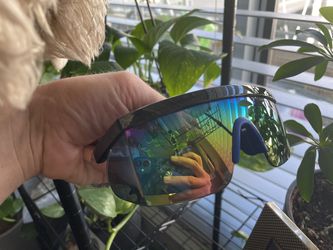 New Sunglasses (has Scratches On The Lenses)