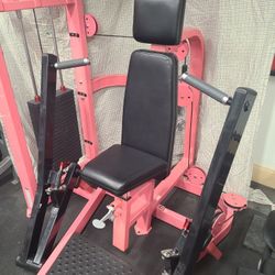 Seated Chest Press 