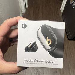 Beats Studio Plus Earbuds