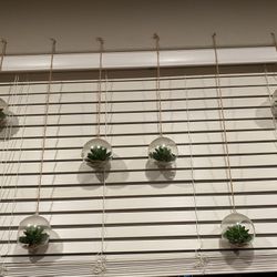 Faux Succulent Plant Hanging Decor (6pk)