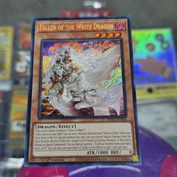 Fallen of the White Dragon BPRO-EN024