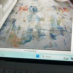 Nourison Area Rug