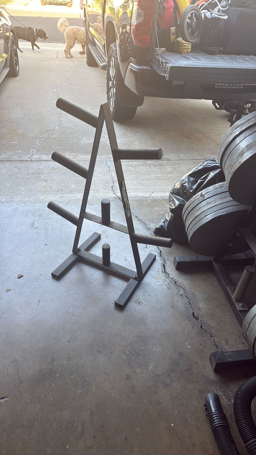 Free Weight Tree