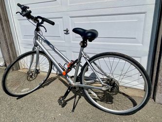 Priority Continuum Belt Drive Bike (1st Gen) - $250 OBO