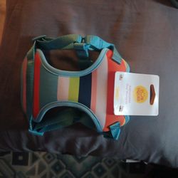 Small Dog Harness & Leash