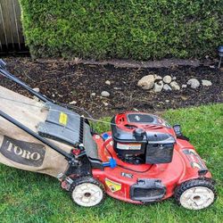 Toro 22" Personal Pace Spin-Stop Lawn Mower (20333)