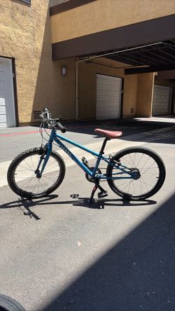 Cleary OWL 3speed 20" bike