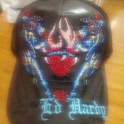 Brand New Famous Ed Hardy Snapback Hat Abd Ed Hardy Lg Bag Both For $50 