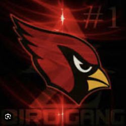 FALCONS vs CARDINALS - 4 Seats Lower + Parking Pass West  Great Lawn Heritage Park