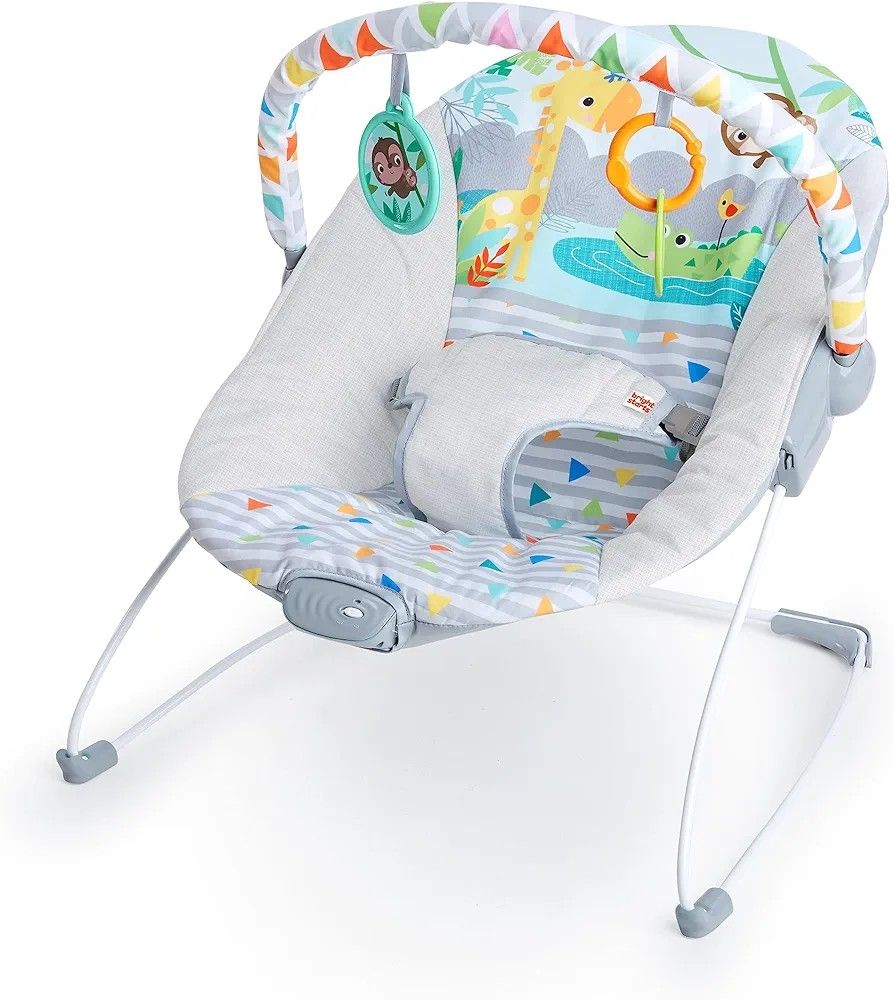 BNIB Fisher Price Baby Bouncer