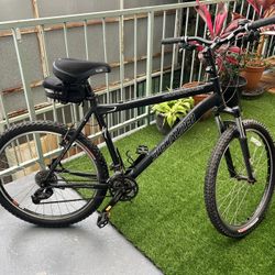 Specialized Rockhopper Bike
