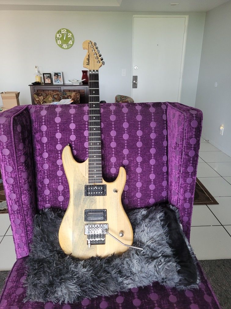 Washburn Nuno N24 Guitar