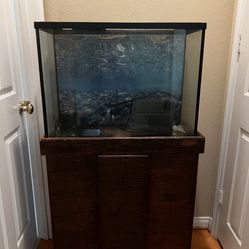 40 Gallon Tall Glass  Fish Tank. Aquarium With Stand