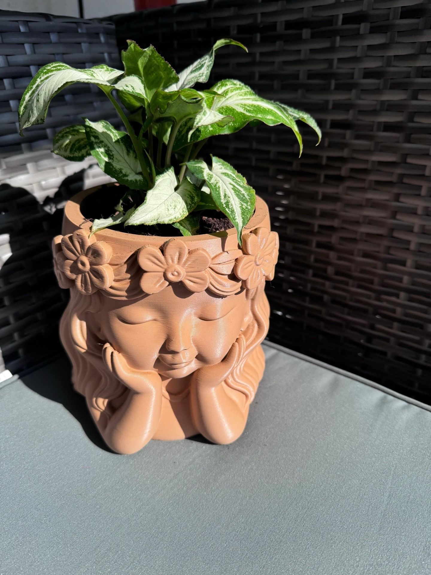 Tiesto con planta