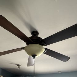 Hampton Bay Ceiling Fan