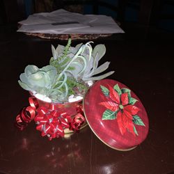 Holiday Succulent Arrangement