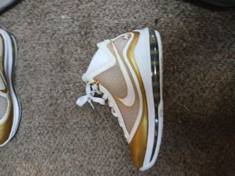 Nike LeBron AirMax Flight special addition