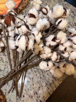 Add cotton stems. 30.00