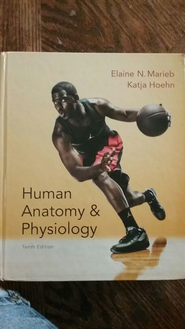 Anatomy Textbook