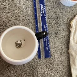 Cat Cup 