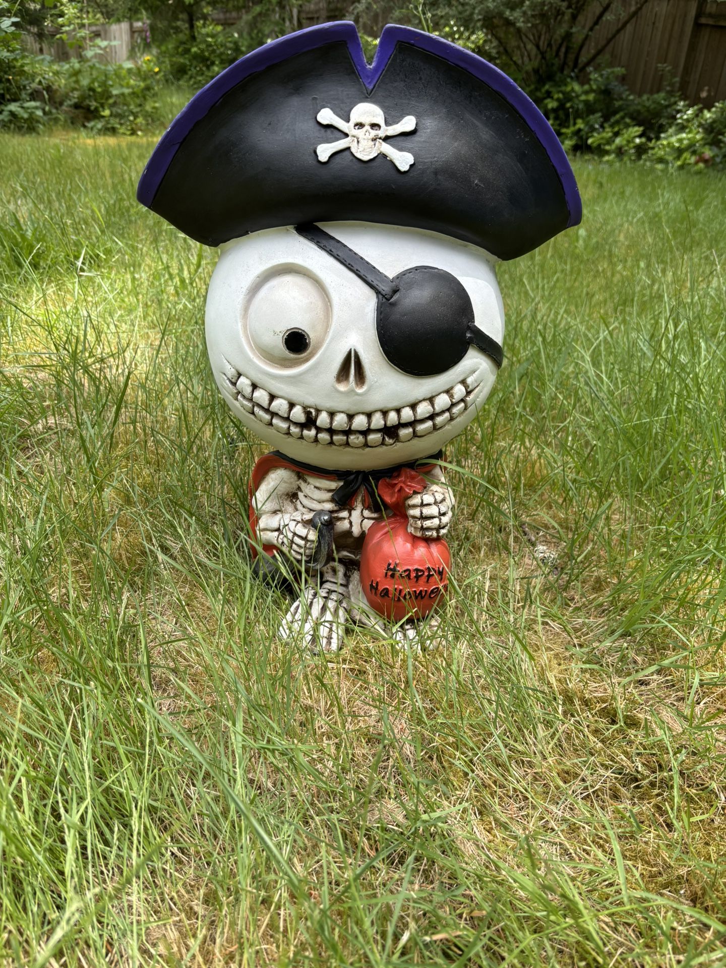 Skeleton Pirate Halloween Decoration