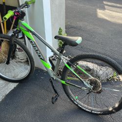 Giant Bike