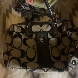 Coach Purses 