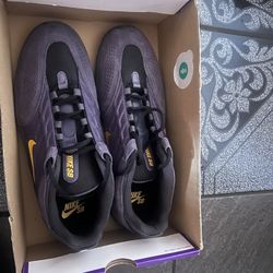 Men’s Nike SB shoes Size 11.5( Runs Small, 11)