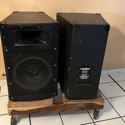 D.J. Speakers