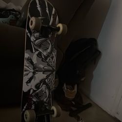 Tony Hawk Old Board
