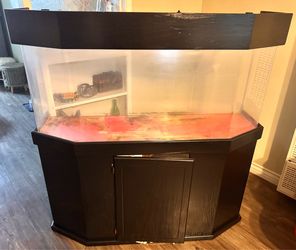 56 Gallon Acrylic Bow Front Fish-tank & many Extras