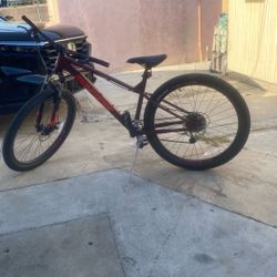 Mongoose Mountain Bike 