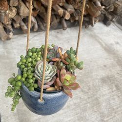 Dangling succulent pot