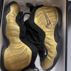 Nike Foamposite Pro