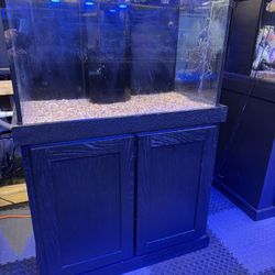 65 Gallon Tank 