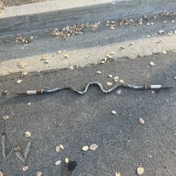 Cruel Weight Bar $15