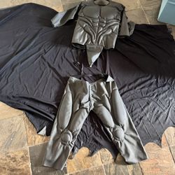 Batman Or Robin Halloween Costume Adult M Or X large For Kids